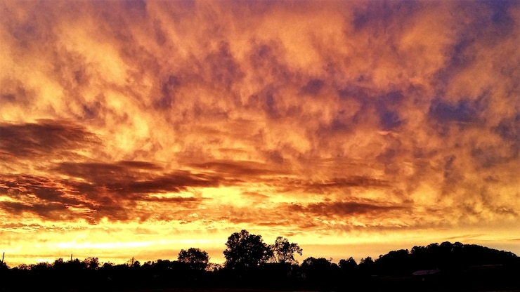 Foto silhouette di alberi contro un cielo nuvoloso