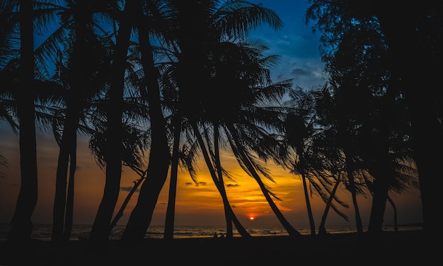 Silhouette di alberi di cocco su una spiaggia tropicale