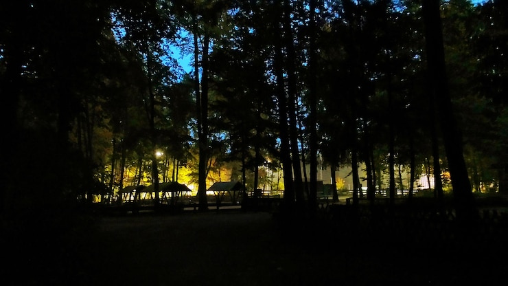 Foto silhouette di alberi nella foresta al crepuscolo