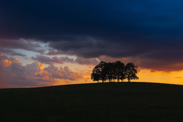 Silhouette di alberi sul campo contro il cielo durante il tramonto
