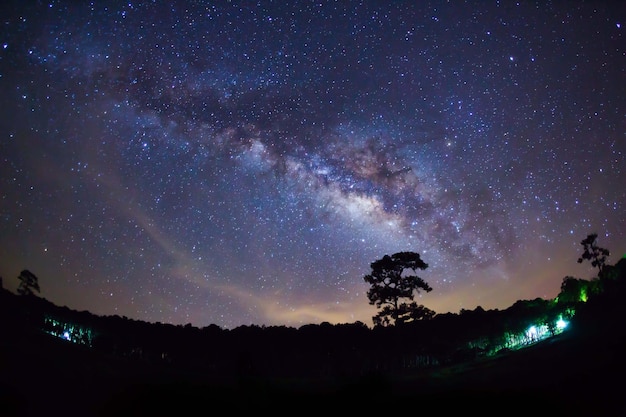 Silhouette di albero con nuvola e Via Lattea Fotografia a lunga esposizione