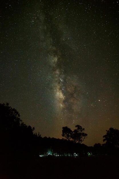 Silhouette di albero e Via Lattea al Parco Nazionale di Phu Hin Rong KlaPhitsanulok Thailandia