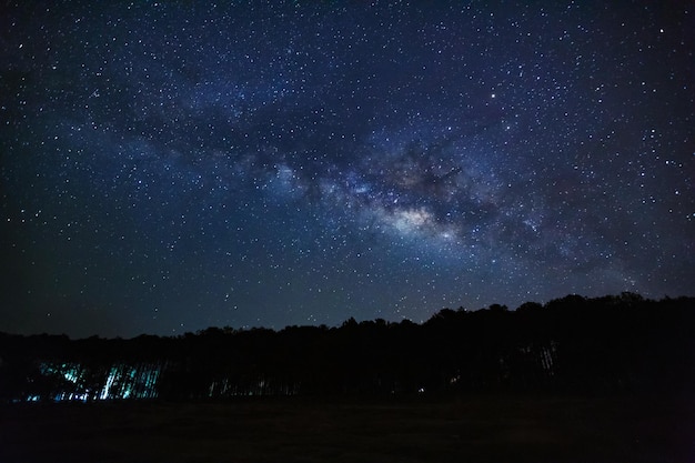 Silhouette di albero e Via Lattea Fotografia a lunga esposizione con grano