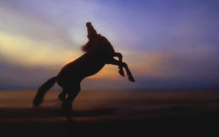 Foto silhouette di cavallo che si alza sulla spiaggia contro il cielo drammatico durante il tramonto