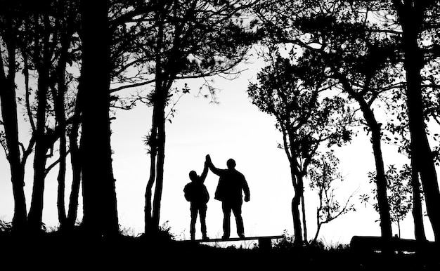 silhouette di coppia di amore in alberi di confine, schiena e tono bianco