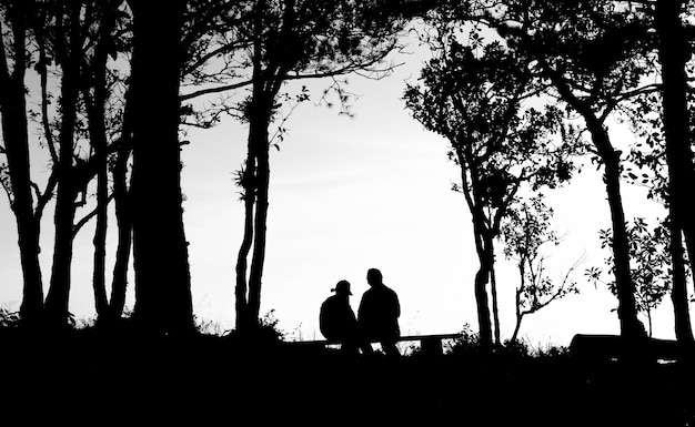 silhouette di coppia di amore in alberi di confine, schiena e tono bianco