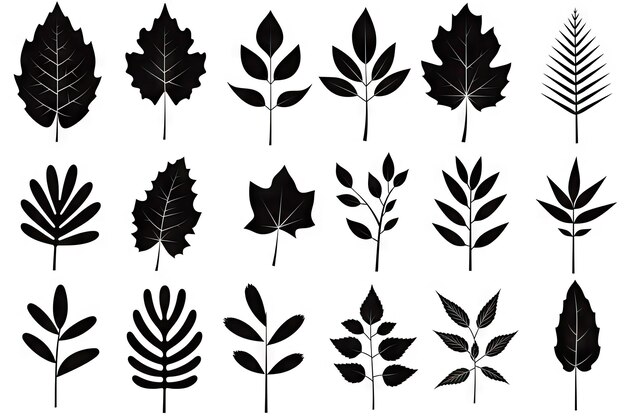 Silhouette di foglie autunnali Siluette di fogliame Isolate Forme di foglie di alberi autunnali con betulla di acero e altre foglie nordiche Disegno di icona di cartone animato Imitazione Riassunto Illustrazione generativa AI