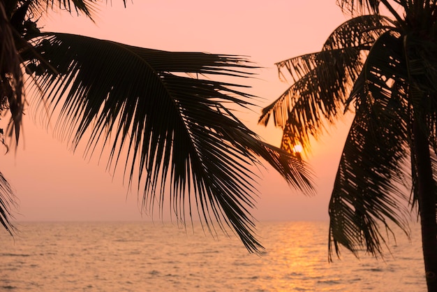 Silhouette di palma da cocco sul mare e sullo sfondo del cielo al tramonto