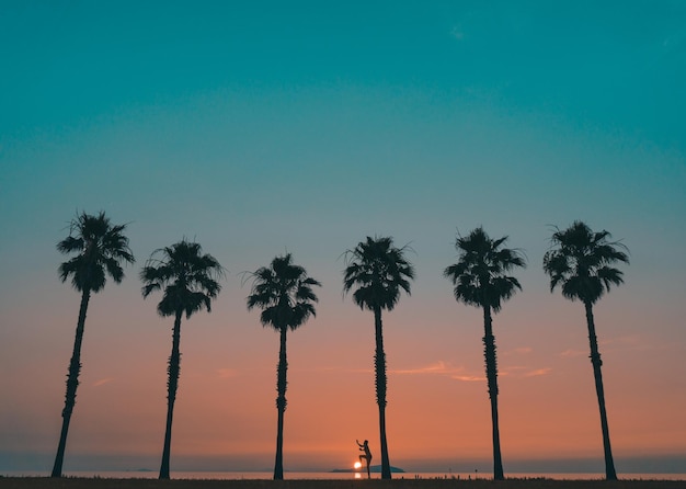 Silhouette di palme contro il cielo durante il tramonto