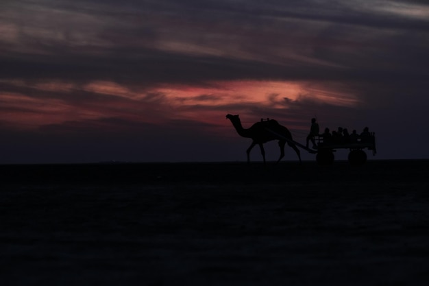 Silhouette di persone che cavalcano sulla spiaggia contro il cielo durante il tramonto