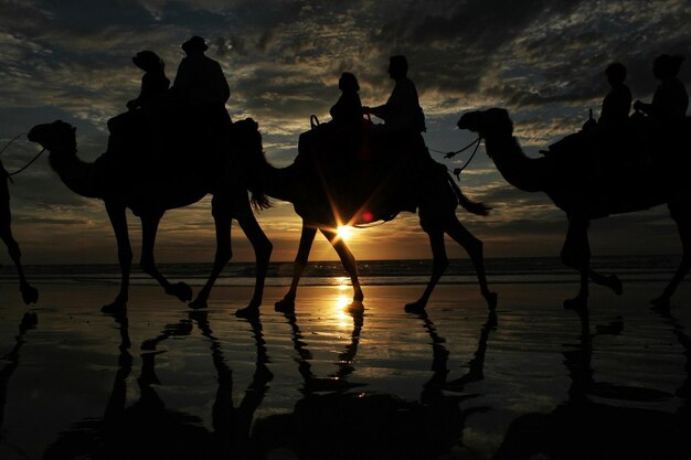 Silhouette di persone sul campo durante il tramonto