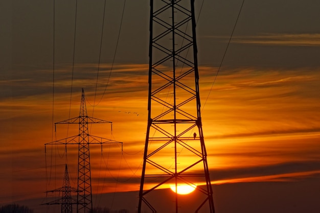 Silhouette di pilastri elettrici contro il cielo durante il tramonto