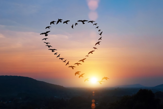 Silhouette di uccelli in volo a forma di cuore sopra il cielo al tramonto