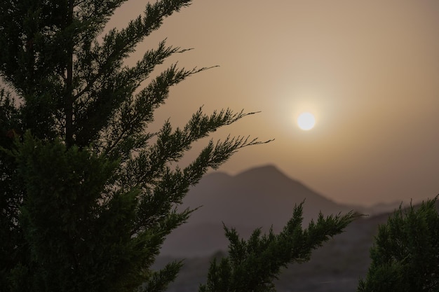 Silhouette di un albero con montagne alle spalle mentre tramonta con il sole sullo sfondo nella nota ora arancione