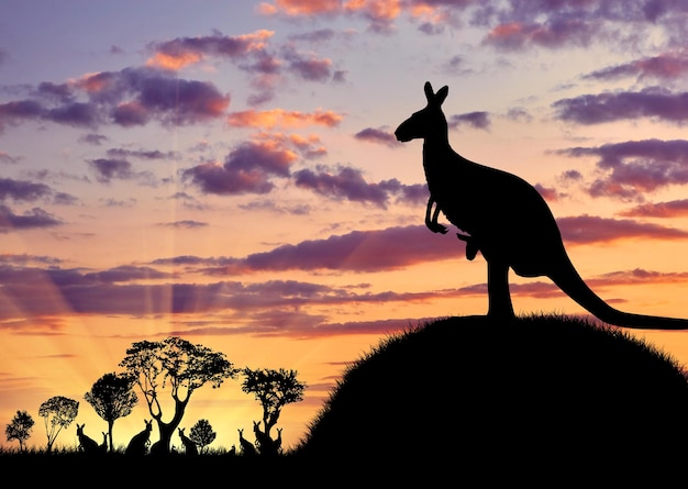 Silhouette di un canguro con un bambino sullo sfondo di un bel tramonto e la mandria via