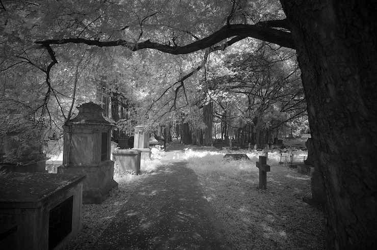 Foto silhouette di una donna contro gli alberi