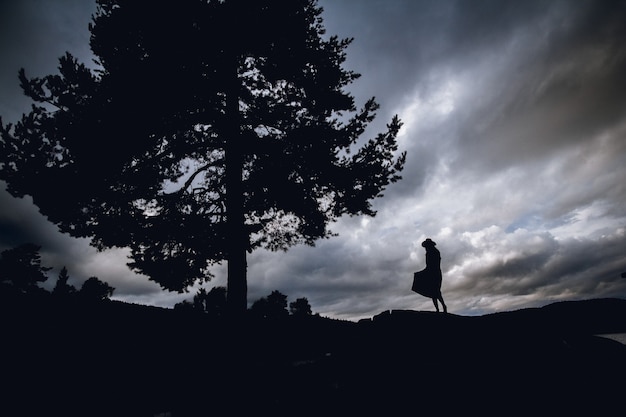 Silhouette di una donna in un vestito in piedi sotto un albero su uno sfondo di cielo drammatico