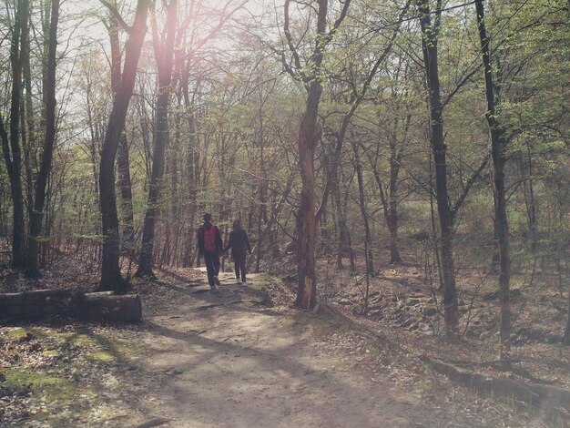 Silhouette di una donna nella foresta