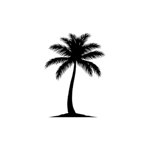 Silhouette di una palma