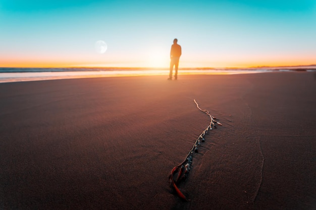 Silhouette di una persona all'orizzonte sul mare sulla riva della spiaggia al tramonto vista posteriorexA