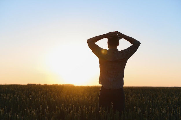 Silhouette di uomo che guarda il bellissimo paesaggio in un campo al tramonto