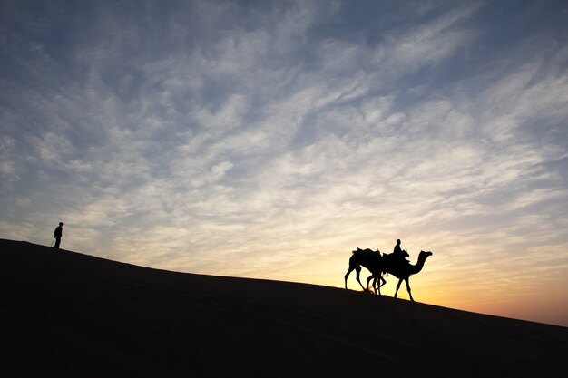 Silhouette di uomo e il suo cammello al tramonto colorato nel deserto di Thar vicino a Jaisalmer, Rajasthan, India