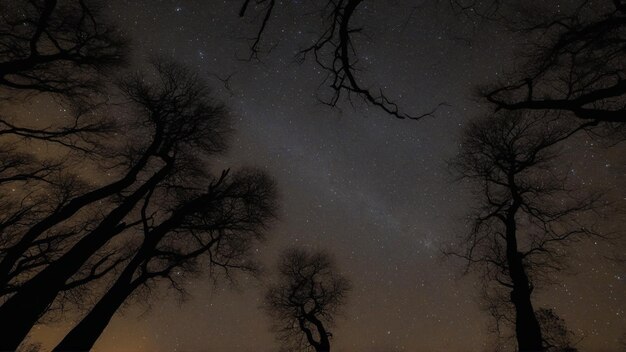 Silhouette forest con sfondo di galassia