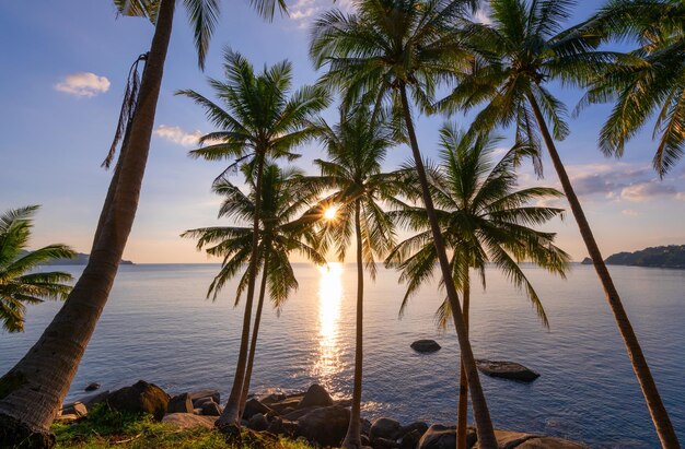 Silhouette palme da cocco al tramonto o all'alba cielo sul mare Incredibile luce naturale paesaggio colorato Bellissimo cielo e nuvole di luce naturale