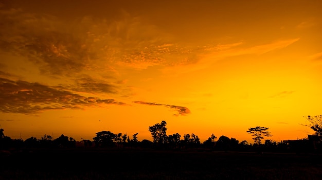 silhouette poli di alimentazione e bel cielo al mattino