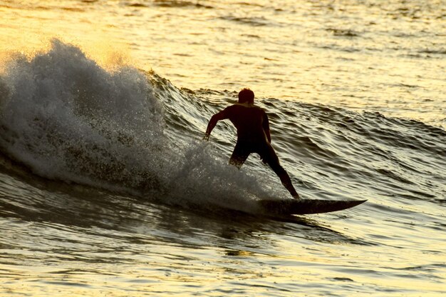 Silhouette surfista al tramonto