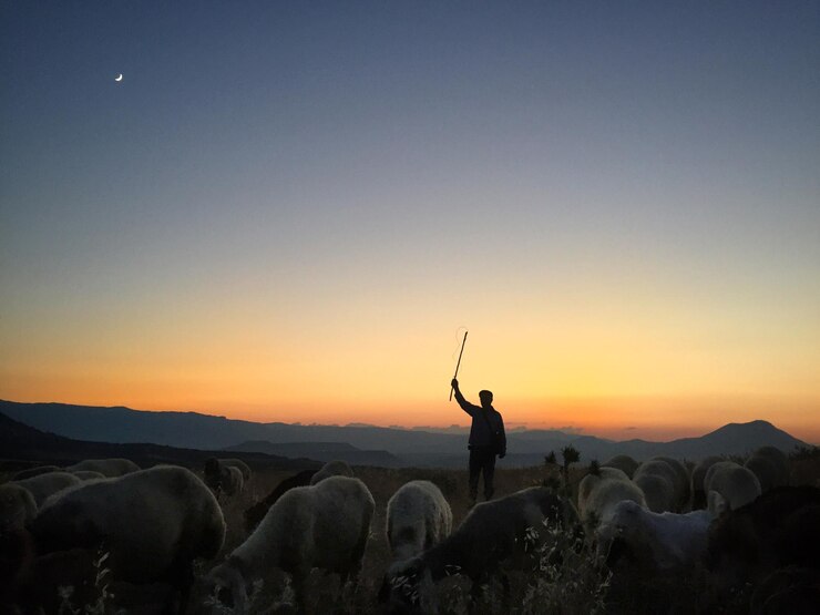 Foto silhouette uomo in piedi sul paesaggio contro il cielo durante il tramonto