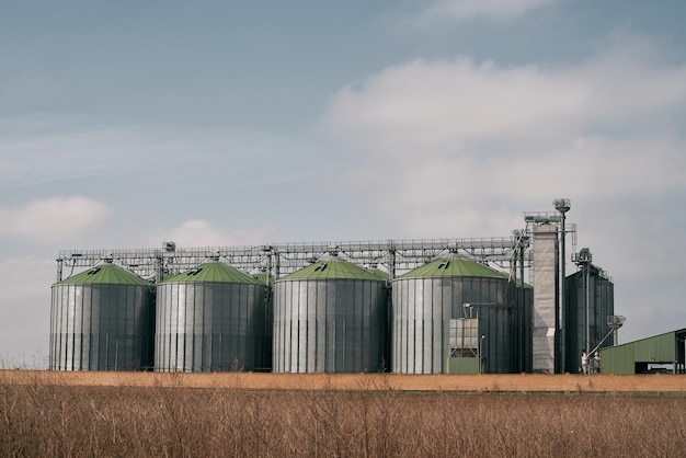 Silos con grano in campo Silos agricoli per lo stoccaggio e l'essiccazione di cereali grano mais soia e girasole