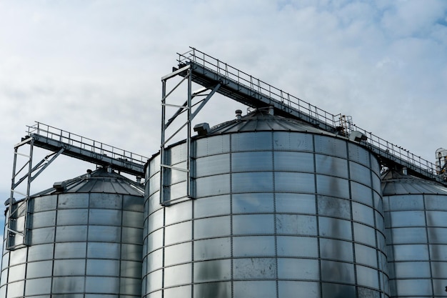 Silos d'argento su impianto agro manifatturiero per la lavorazione essiccazione pulitura e stoccaggio di prodotti agricoli farina cereali e grano Grandi botti di ferro di grano Elevatore granaio