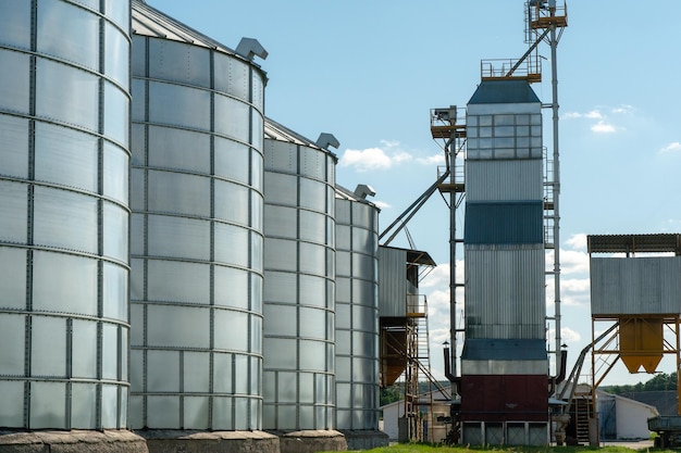 Silos d'argento su impianto agro manifatturiero per la lavorazione essiccazione pulitura e stoccaggio di prodotti agricoli farina cereali e grano Grandi botti di ferro di grano Elevatore granaio