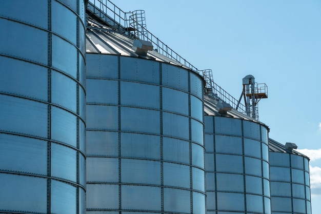 Silos d'argento su impianto agro manifatturiero per la lavorazione essiccazione pulitura e stoccaggio di prodotti agricoli farina cereali e grano Grandi botti di ferro di grano Elevatore granaio