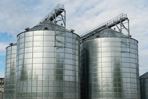 Silos d'argento su impianto agro manifatturiero per la lavorazione essiccazione pulitura e stoccaggio di prodotti agricoli farina cereali e grano Grandi botti di ferro di grano Elevatore granaio