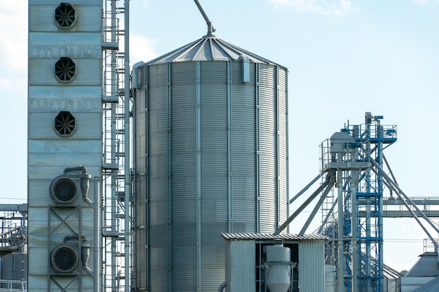 Silos d'argento su impianto agro manifatturiero per la lavorazione essiccazione pulitura e stoccaggio di prodotti agricoli farina cereali e grano Grandi botti di ferro di grano Elevatore granaio