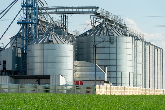 Silos d'argento su impianto agro manifatturiero per la lavorazione essiccazione pulitura e stoccaggio di prodotti agricoli farina cereali e grano Grandi botti di ferro di grano Elevatore granaio