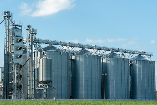 Silos d'argento su impianto agro manifatturiero per la lavorazione essiccazione pulitura e stoccaggio di prodotti agricoli farina cereali e grano Grandi botti di ferro di grano Elevatore granaio