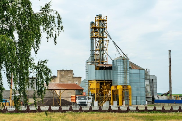 Silos d'argento su impianto agro manifatturiero per la lavorazione essiccazione pulitura e stoccaggio di prodotti agricoli farina cereali e grano Grandi botti di ferro di grano Elevatore granaio