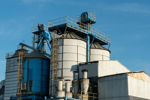 Silos d'argento su impianto agro manifatturiero per la lavorazione essiccazione pulitura e stoccaggio di prodotti agricoli farina cereali e grano Grandi botti di ferro di grano Elevatore granaio