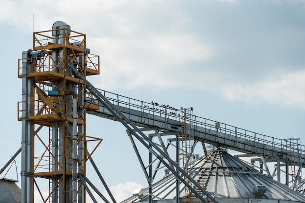 Silos d'argento su impianto agro manifatturiero per la lavorazione essiccazione pulitura e stoccaggio di prodotti agricoli farina cereali e grano Grandi botti di ferro di grano Elevatore granaio