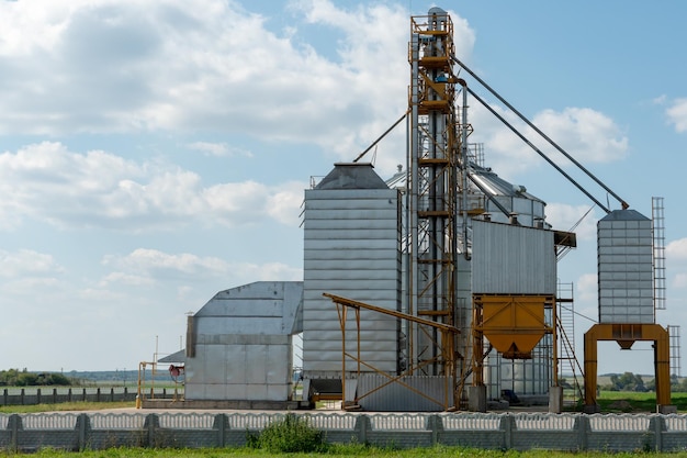 Silos d'argento su impianto agro manifatturiero per la lavorazione essiccazione pulitura e stoccaggio di prodotti agricoli farina cereali e grano Grandi botti di ferro di grano Elevatore granaio