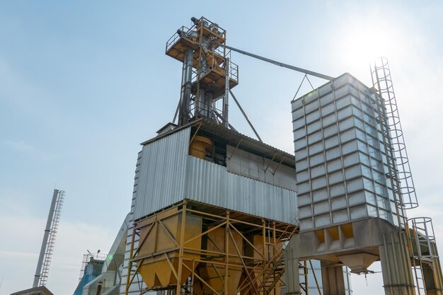 Silos d'argento su impianto agro manifatturiero per la lavorazione essiccazione pulitura e stoccaggio di prodotti agricoli farina cereali e grano Grandi botti di ferro di grano Elevatore granaio