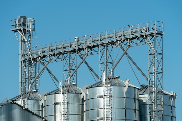 Silos d'argento su impianto agro manifatturiero per la lavorazione essiccazione pulitura e stoccaggio di prodotti agricoli farina cereali e grano Grandi botti di ferro di grano Elevatore granaio