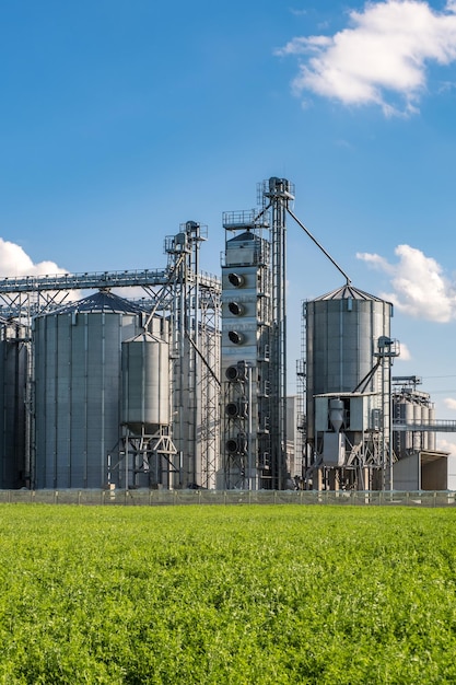 Silos d'argento su impianto di agroprocessing e produzione per la lavorazione essiccazione pulitura e stoccaggio di prodotti agricoli farina cereali e grano Elevatore granaio