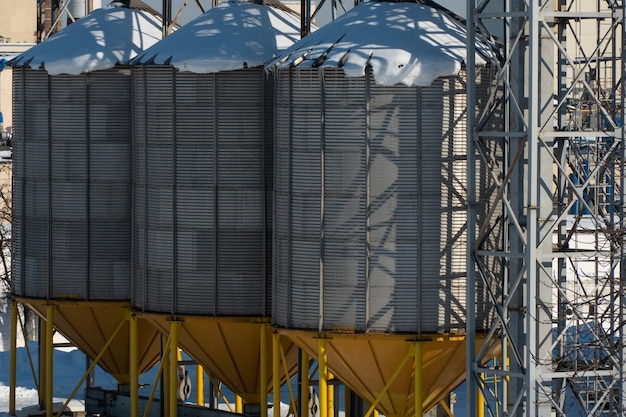 Silos d'argento su impianto di produzione agricolo per la lavorazione essiccazione pulitura e stoccaggio di prodotti agricoli farina cereali e grano Il silo del granaio dell'ascensore è coperto di neve in inverno