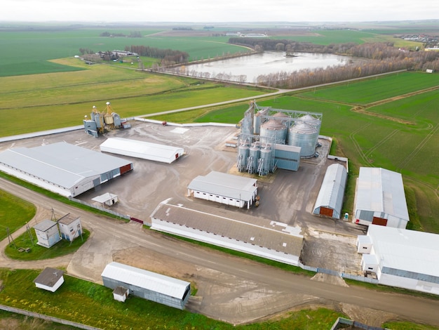 Silos d'argento su un impianto di produzione agricola per la lavorazione, l'essiccazione, la pulizia e lo stoccaggio di prodotti agricoli, farina, cereali e grano.