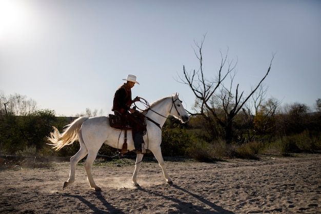 Siluetta del cowboy con il cavallo contro la luce calda