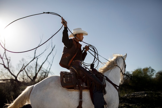 Siluetta del cowboy con il cavallo contro la luce calda